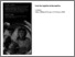 [thumbnail of Details of exhibition from the negative to the positive Gallery Oldham January 2018]