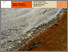 [thumbnail of Talking Places]