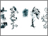 [thumbnail of Figure 1 of  Article]
