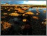 [thumbnail of Little Woolden Moss residency]