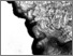 [thumbnail of Lithographic drawing]