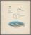 [thumbnail of Low-resolution scan of a sketch in ink and chalk]